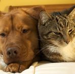 Profile Picture of Nancy Seigfried (@nancy.seigfried.33) on Facebook