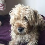Profile Picture of rusty hunt (@rusty_hunt234) on Instagram