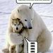 Profile Picture of Zachary Olson (@FALCON3223) on Pinterest