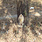 Profile Picture of Saurabh Singh (@i m bad) on Flickr