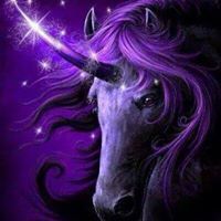 Profile Picture of Laura Bartgen Lukasiewicz (@Laurabell78) on Pinterest