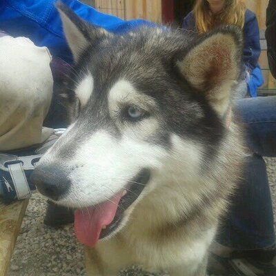 Profile Picture of Aaron Kugler (@AaronLolig) on Twitter