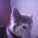 Profile Picture of Richard Lara (@Richard-Lara) on Facebook