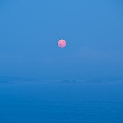 Profile Picture of Jim Nickelson (@jnickels13) on Twitter