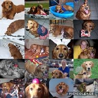 Profile Picture of Kim Behring (@kim-behring) on Quora