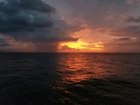 Profile Picture of Melanie Caines (@fromkyoto) on Poshmark