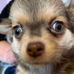 Profile Picture of Heidi Pfeifer (@heidi.pfeifer.71) on Facebook