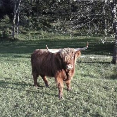 Profile Picture of David Casson (@CassonDavid) on Twitter