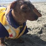 Profile Picture of Joseph Landgraf (@joseph_landgraf) on Instagram