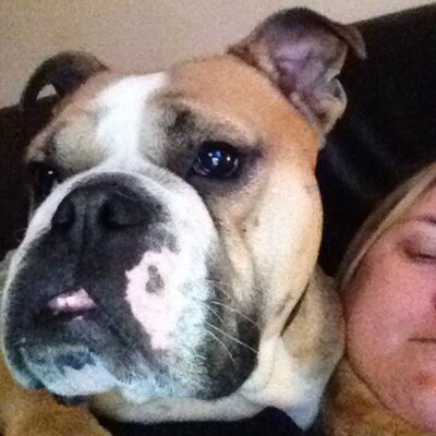 Profile Picture of Anne-Marie (@@anne_cunliffe) on Twitter