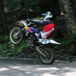 Profile Picture of Joe Picone (@joepicone17) on Instagram