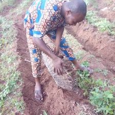 Profile Picture of Gnonlonfoun Sègla Gu (@Gnonlon60059471) on Twitter