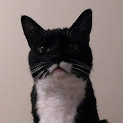 Kim Savage - Youtube Profile Picture of Kim Savage (@kimsavage3823) on Youtube