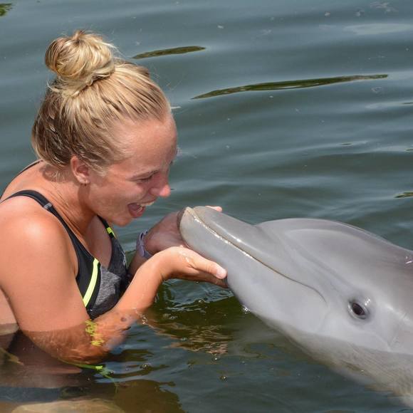 Profile Picture of Jamie Wolanin (@jwolanin13) on Poshmark