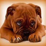 Profile Picture of Michael Wozny (@woznymichael) on Instagram