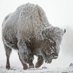 Profile Picture of Aaron Feder (@afeder23) on Instagram