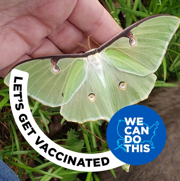 Profile Picture of Anna Baumstark (@abaum657) on Poshmark