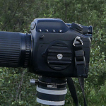 Profile Picture of Thomas König (@tk.photoalbum) on Flickr