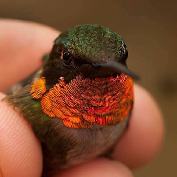 Profile Picture of Jon David (@poshmarkramblin) on Poshmark