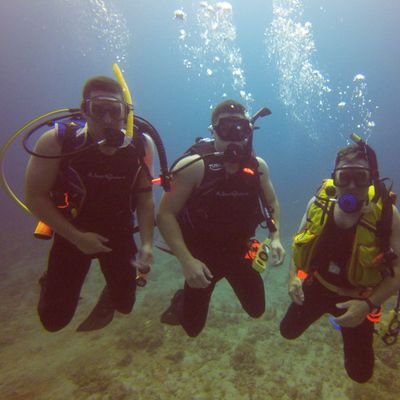 Profile Picture of Anthony Spinelli (@AnthonySpinell8) on Twitter