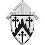 Profile Picture of dioceseofdavenport (@@dioceseofdavenport) on Tiktok