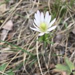 Profile Picture of Alyson Wallin (@alysons_photo_gallary) on Instagram