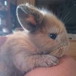 Profile Picture of ❤melissa❤ (@_bounty_raynard_) on Instagram