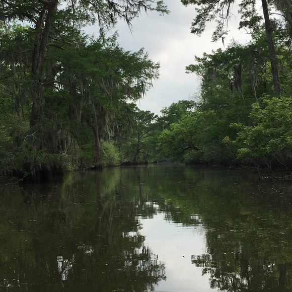 Profile Picture of Sarahsarah Donivan (@sarina870) on Poshmark