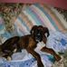Profile Picture of Ronald Cothran (@ronald.cothran) on Facebook