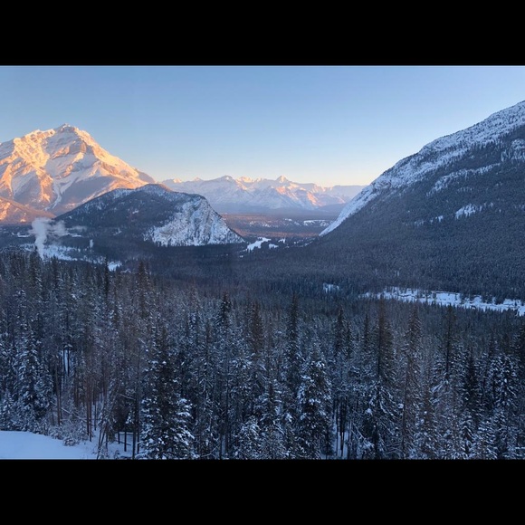 Profile Picture of Sunanda Sharma (@sunanda_sharma) on Poshmark