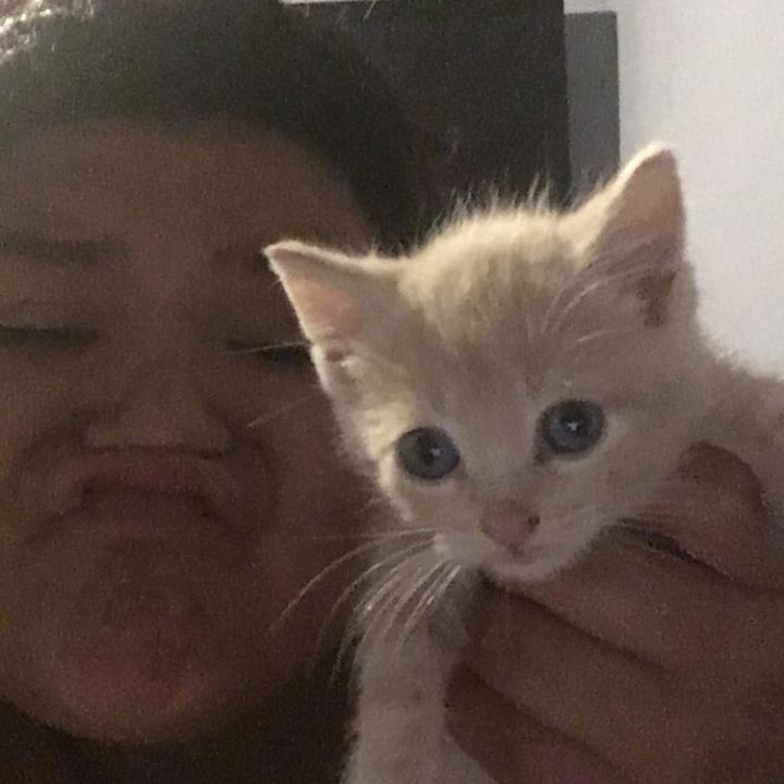 Profile Picture of Kyle Garcia (@kyl3garxia1) on Tiktok