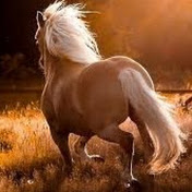 Profile Picture of Julia Neff (@julianeff4182) on Youtube