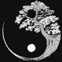 Profile Picture of chadwilderman (@chadwilderman) on Tiktok