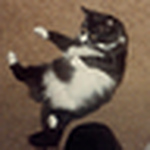 Profile Picture of Robin Barnes (@robin barnes86) on Flickr