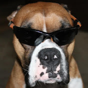 Profile Picture of Andy Clifford (@Doubledookey) on Youtube