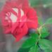 Profile Picture of Dora Román (@Dora-Román) on Facebook