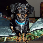 Profile Picture of JASON QUESADA (@jasonquesada8838) on Youtube