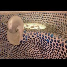 Profile Picture of Che5 Hajj (@4d8ed4d1075248c) on Twitter