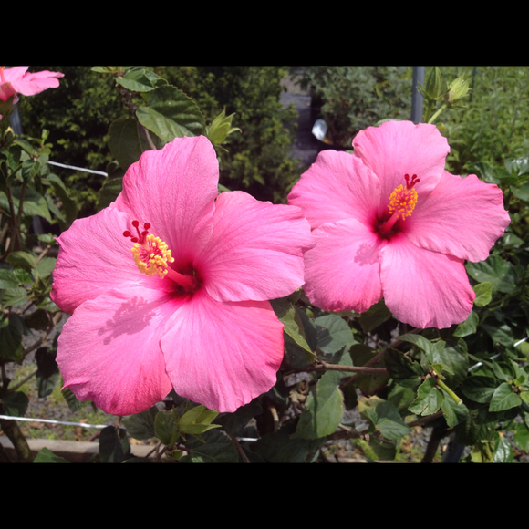 Profile Picture of Alex Moorhead (@bobcatalex) on Poshmark