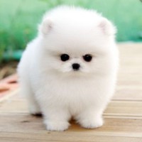 Profile Picture of Stephanie Mancilla (@stephanie-mancilla-7) on Quora