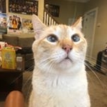 Profile Picture of Casper Presnell (@casperthomaspresnell) on Instagram