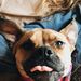 Profile Picture of Jenna Keating (@jkeating2898) on Pinterest