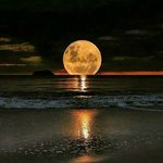 Profile Picture of Jason Colby Reel (@reeljason) on Instagram