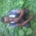 Profile Picture of Abakar Adam Issa Ambili (@abakaradam.issaambili) on Facebook