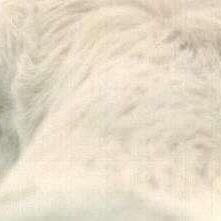 Ned Hunter - Myspace Profile Picture of Ned Hunter (@390159675) on Myspace