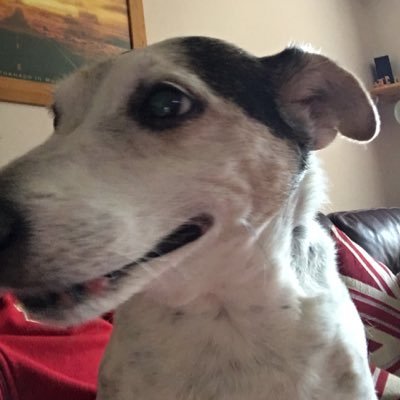 Profile Picture of Robert Prosser (@Phattboyuk) on Twitter