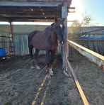 Profile Picture of Geraldine Powyer (@geraldine.powyer) on Facebook