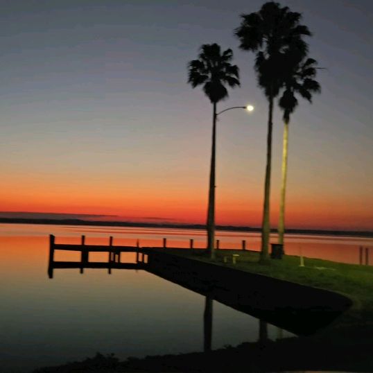 Brian's Designs - Tiktok Profile Picture of Brian's Designs (@brianburkey8) on Tiktok