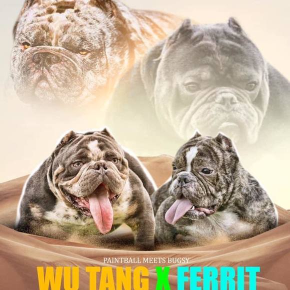 Profile Picture of Macy Jeremy (@wutang8612) on Poshmark