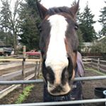 Profile Picture of Sarah Cluney (@cluneysarah) on Instagram